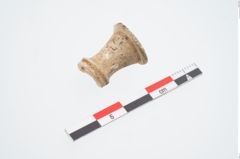 Foto von Beinnadelspitzenschoner (NHMW-PRAE-025452)